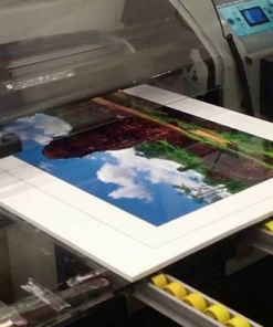 Tiết kiệm chi phí